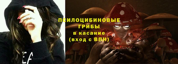дживик Алзамай