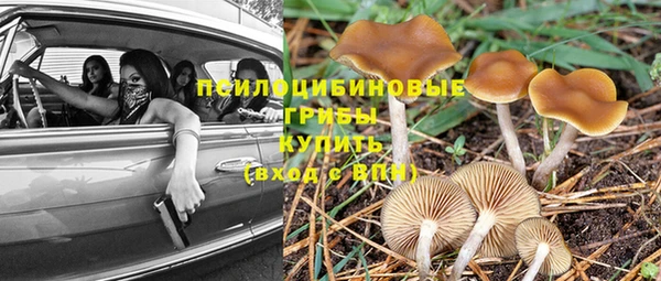 COCAINE Абаза