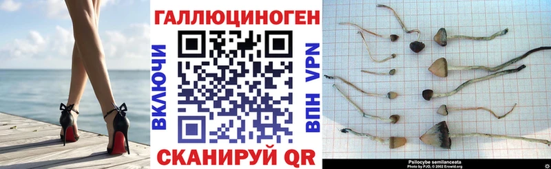 Галлюциногенные грибы GOLDEN TEACHER  Емва 