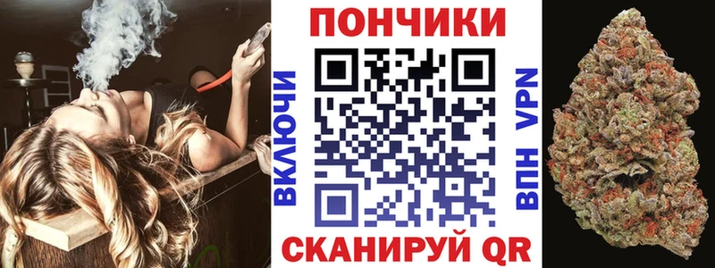 Конопля семена  продажа наркотиков  Емва 